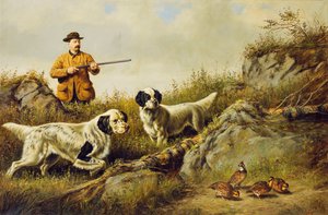 Amos F. Adams Goose Over Goose Close End Shon, Count Closing, 16 by Arthur Fitzwilliam Tait