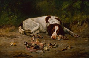 iyi köpek by Arthur Fitzwilliam Tait