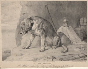 Nöbetçi by Arthur Fitzwilliam Tait