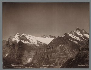 Bernese Alpleri