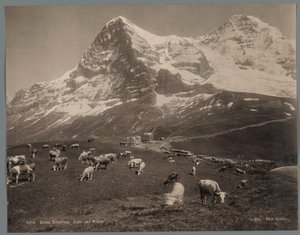 Bernese Oberland