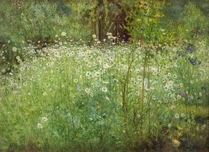 Oxeye Papatyalar ve Süsenler, 1920 by Arthur Hacker