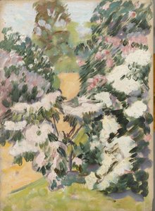 Çiçeği, c.1900