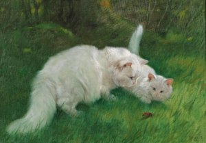  by Arthur Heyer