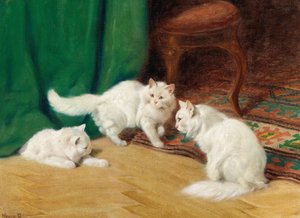  by Arthur Heyer