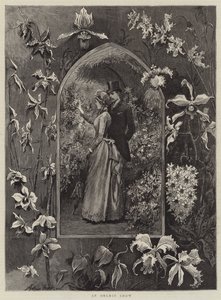 Bir Orkide Gösterisi by Arthur Hopkins