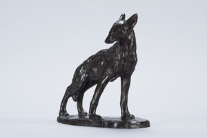 Uyarı Coyote (bronz)
