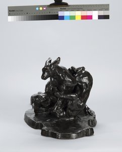 kanguru ve köpek
