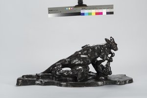kanguru ve köpek