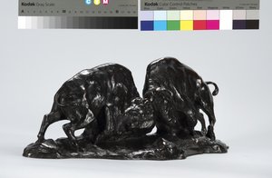 İki Dövüş Bufalo by Arthur Putnam