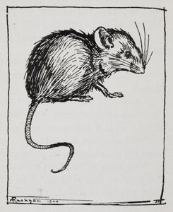 Bir fare by Arthur Rackham