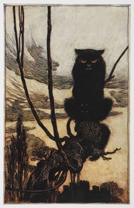 Jorinda ve Joringel'den siyah bir kedi çizimi. by Arthur Rackham