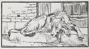 Bir Köpeğin Eski Sultanından İllüstrasyon. by Arthur Rackham