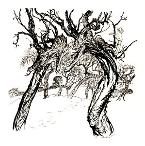 Fısıldayan Ağaçlar, Bir Elma Tabağından, 1917, 1923 by Arthur Rackham