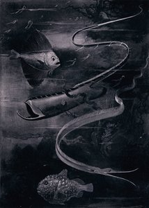 Derin Deniz Balığı (lito) by Arthur Twidle