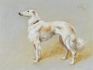 Bir Borzoi köpeği (tuval üzerine yağlı boya)