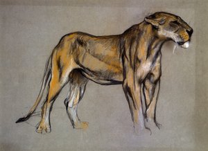 Bir Dişi Aslan, c.1900 (gri kağıt üzerine pastel)