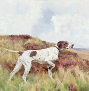 Bir İşaretçi (gemideki yağ) by Arthur Wardle