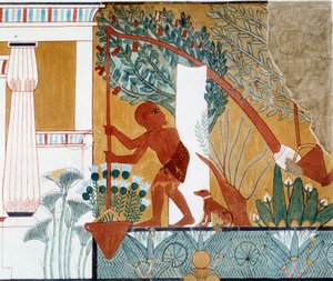 Mısır Sanatı: Kuyuda bir shadouf. Teb