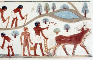 Mısır Sanatı: çift sürme sahnesi. Naht