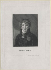 Georg Cuvier (baskı) by Artist Unknown