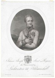 Liechtenstein Kontu Johann by Artist Unknown