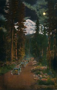 Rainier Dağı Milli Parkı