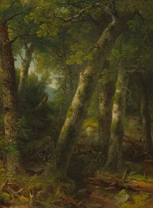 Sabah Işığında Orman by Asher Brown Durand