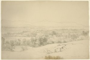 Manzara, Barrytown, New York, 1865 (kahverengi kağıt üzerinde kütükler olan grafit)