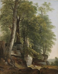 Kayalar ve Ağaçlar ile Manzara, 1845 dolayları by Asher Brown Durand