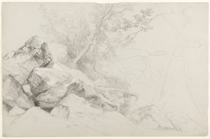 Ağaçlarla Kayaların Çalışması, Lahey, George Gölü, New York, 1862 (gri kağıt üzerinde grafit) by Asher Brown Durand