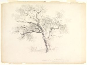 Hosack Malikanesi