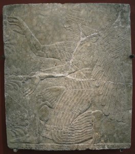 Kutsal ağacın yanında kanatlı tanrı. Ashurnasirpal II