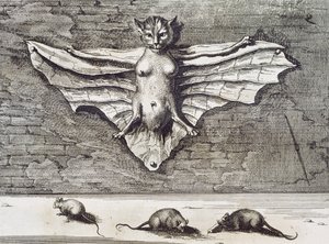 Uçan Kedi, 1667 by Athanasius Kircher