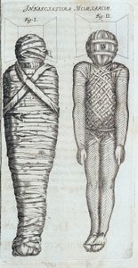 Mumyalar - Athanase Kircher tarafından “” Sphynx mystagoga” da by Athanasius Kircher