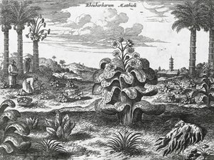 Ravent bitkisi, Çin anıtlarından gravür by Athanasius Kircher