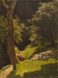 Bahçe yolu ile park manzarası (tuval üzerine yağlı boya) by August Cappelen