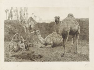 develer by August Le Gras