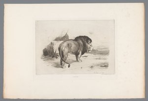 Lion Un vieux lion (nesne üzerindeki başlık) 1874'ten Fransız gravürleri (seri başlığı) L'eau-forte en 1874 (seri başlığı)