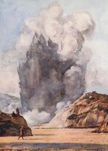 Siyah Gayzer, Yeni Zelanda (renkli lito) by Auguste Gerardin