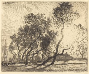 Hollanda Kavak Çiftliği by Auguste Lepere