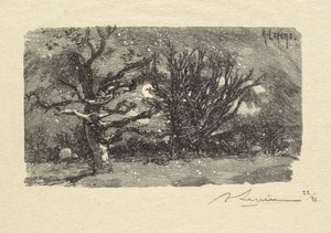 Fontainebleau Ormanı: Au dormoir de Lantara (La Forêt de Fontainebleau: Au dormoir de Lantara) by Auguste Louis Lepère