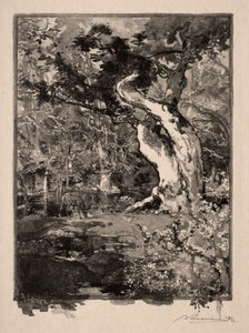 Le Clovis, Plateau de Bellecroix by Auguste Louis Lepère