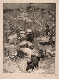 Roche Cuvier Chatillon, 1887. by Auguste Louis Lepère