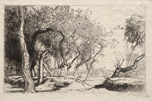 Bükülmüş Ağaç by Auguste Louis Lepère