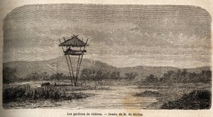 Batavia (bugünkü Jakarta) yakınlarında bir pirinç muhafızı. M. de Molins tarafından Java