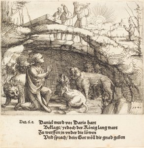 Daniel, Aslanların İninde, 1549. by Augustin Hirschvogel