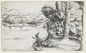 Duck Shooting with Firearms, 1545