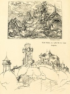 Doğa çalışması by Augustin Hirschvogel
