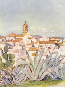 Algeciras (renkli lito)